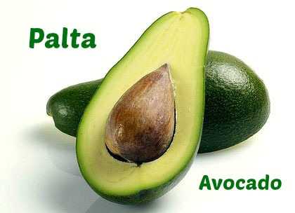 Palta-Avocado